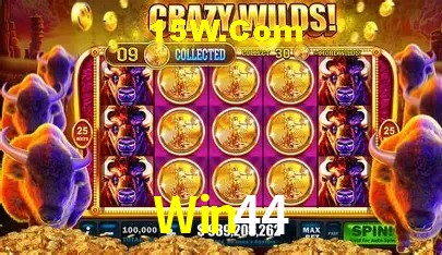 Win44 Brasília - Betting Features